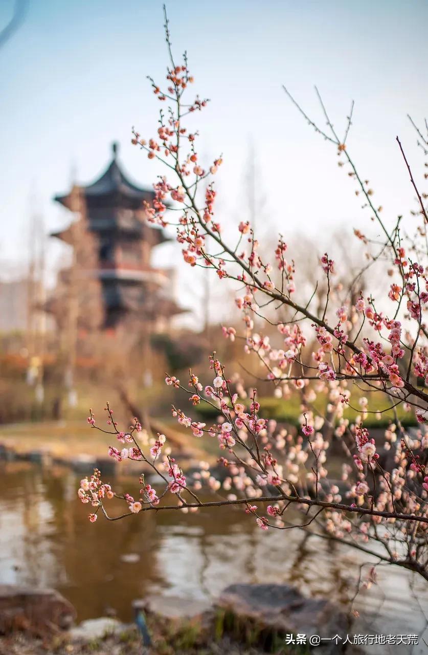 原来它才是江苏最安逸城市，累了就去小住几天