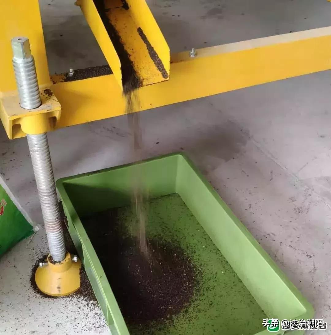 前方高能预警！汕头人的餐厨垃圾竟是被虫子吃掉的1斤卵孵出幼虫每天吃10吨垃圾