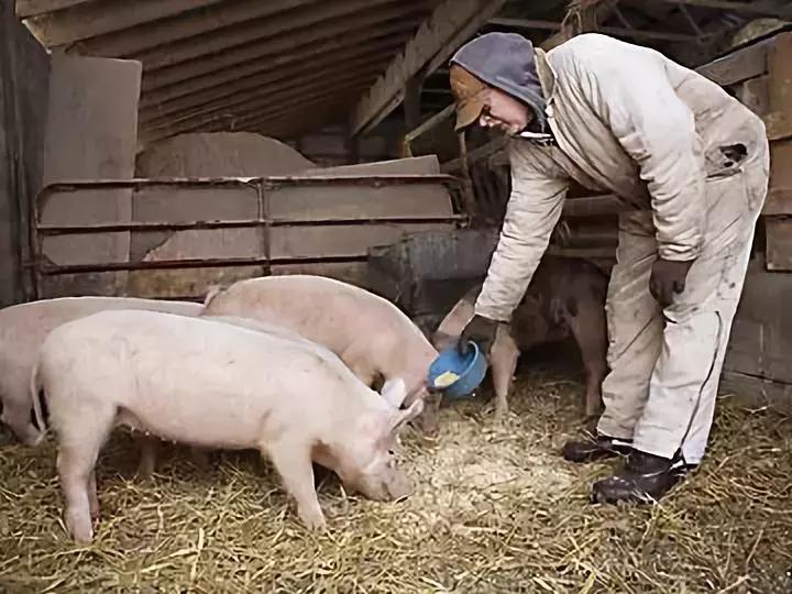 摸一摸就能怀孕？这真的不是都市传说