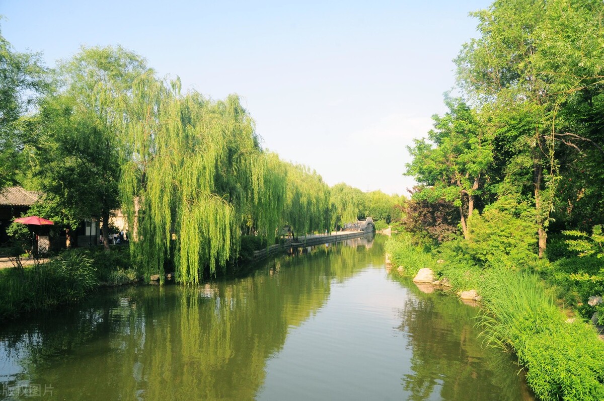 2022年实用的情感励志语录摘抄,情感创业语录句句刺痛人心