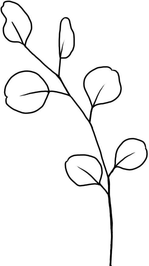 楚楚普法最新进展,楚楚的妈妈被关进监狱了