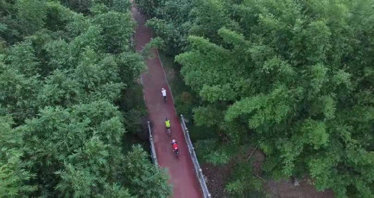 温州适合骑行的地方,温州最适合骑行的地方