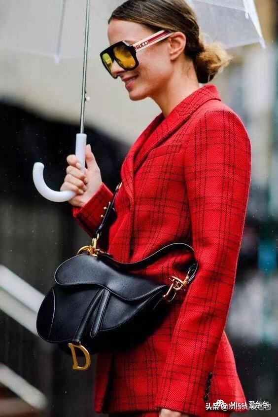 diorsaddle包全金,diorsaddle大包