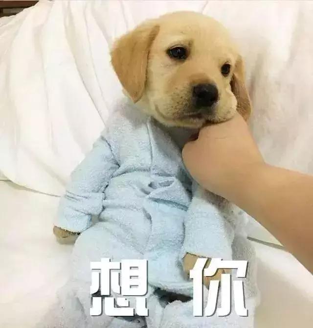 gucci和supreme联名马丁靴,guccisupreme鞋子