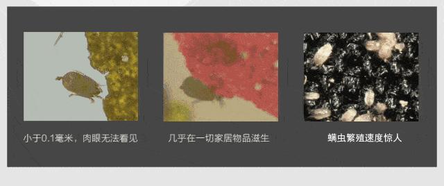 珀婷pertine除螨仪,珀婷除螨喷雾剂测评