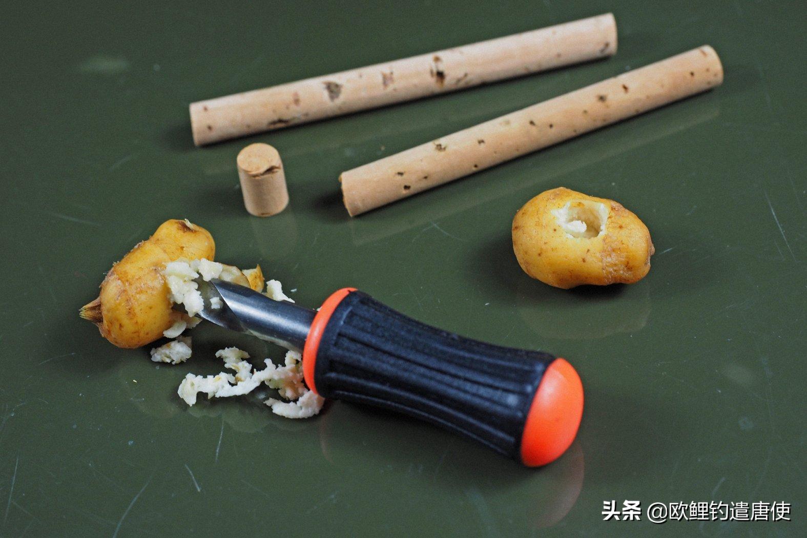 话说欧鲤钓之科学篇,欧鲤钓知识讲解