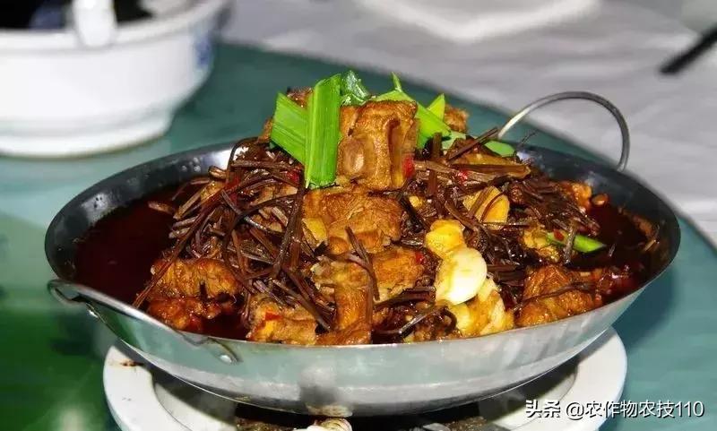 农村适合穷人的18个创业项目利润,农村小本养殖创业项目大全