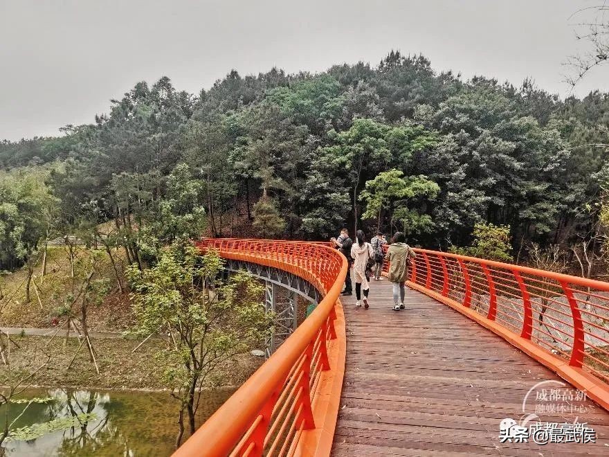 西双版纳热带雨林公园,西双版纳雨林热带公园