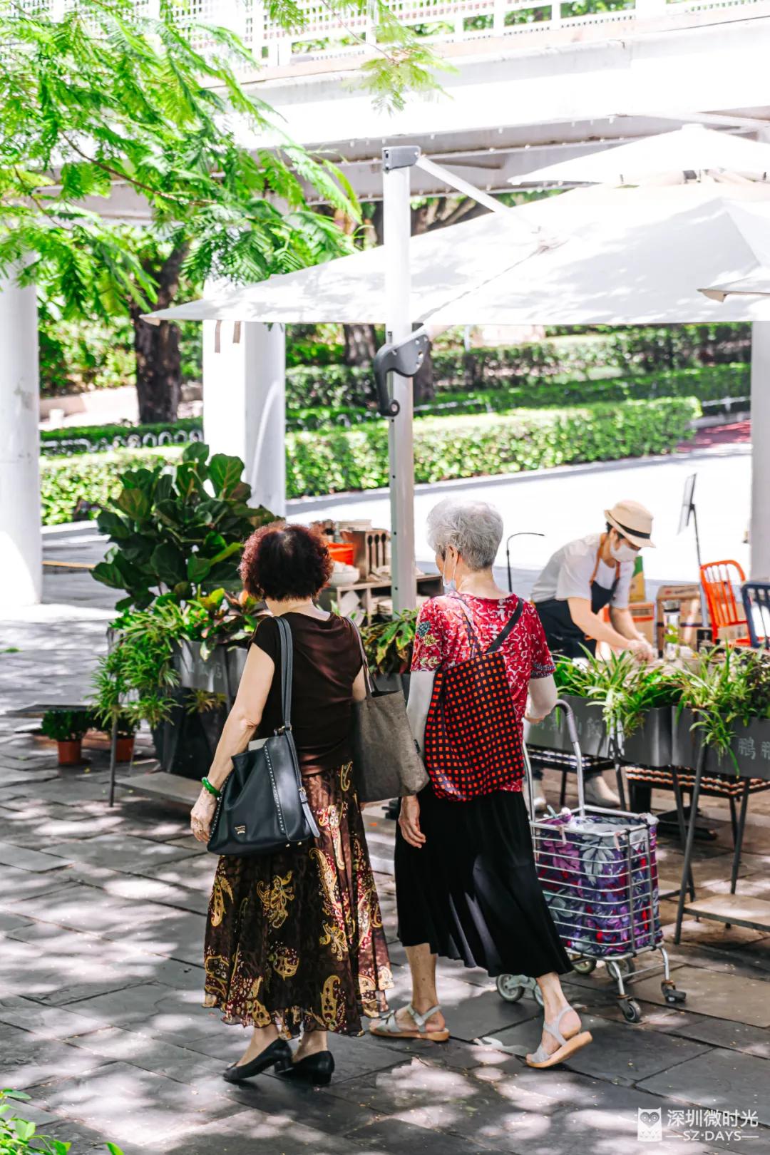华侨城一期西区,华侨城发展历程