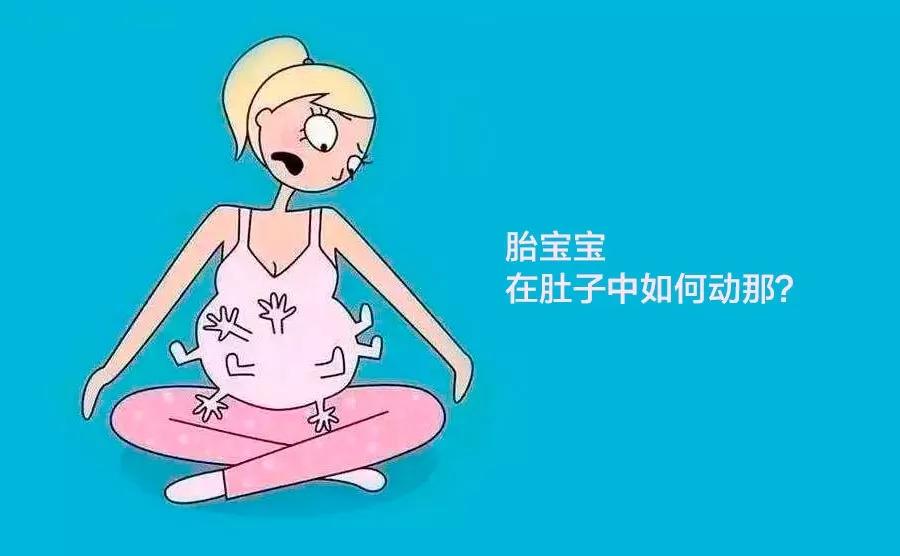 怀孕后多久出现胎动？正常的胎动次数是多少？如何数胎动？