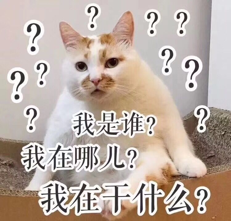 php8.1,php入门教学