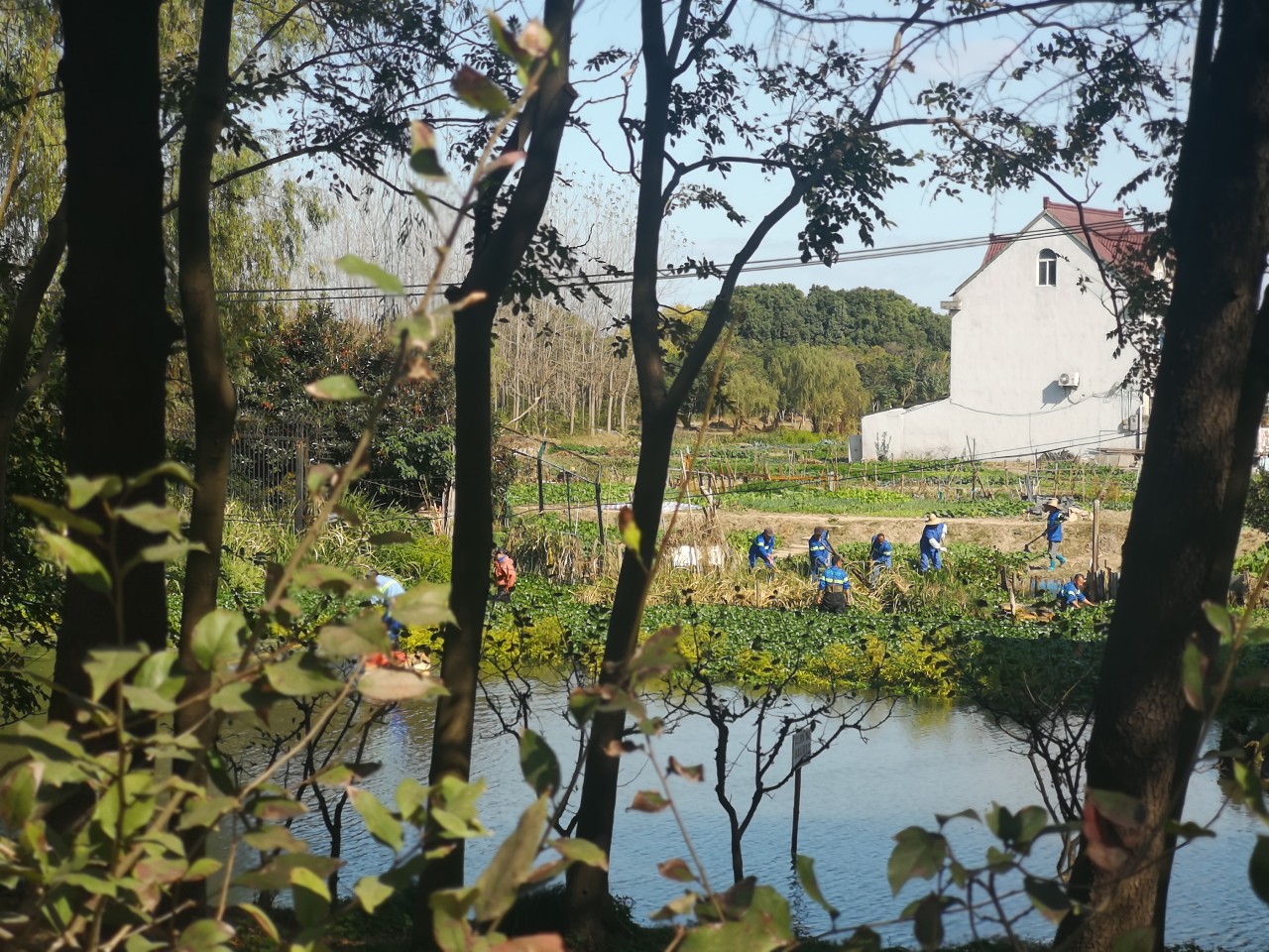 上海浦东唐镇金融家房价,浦东唐镇二手房价