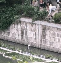 搞笑版的小萝莉,搞笑小萝莉图片