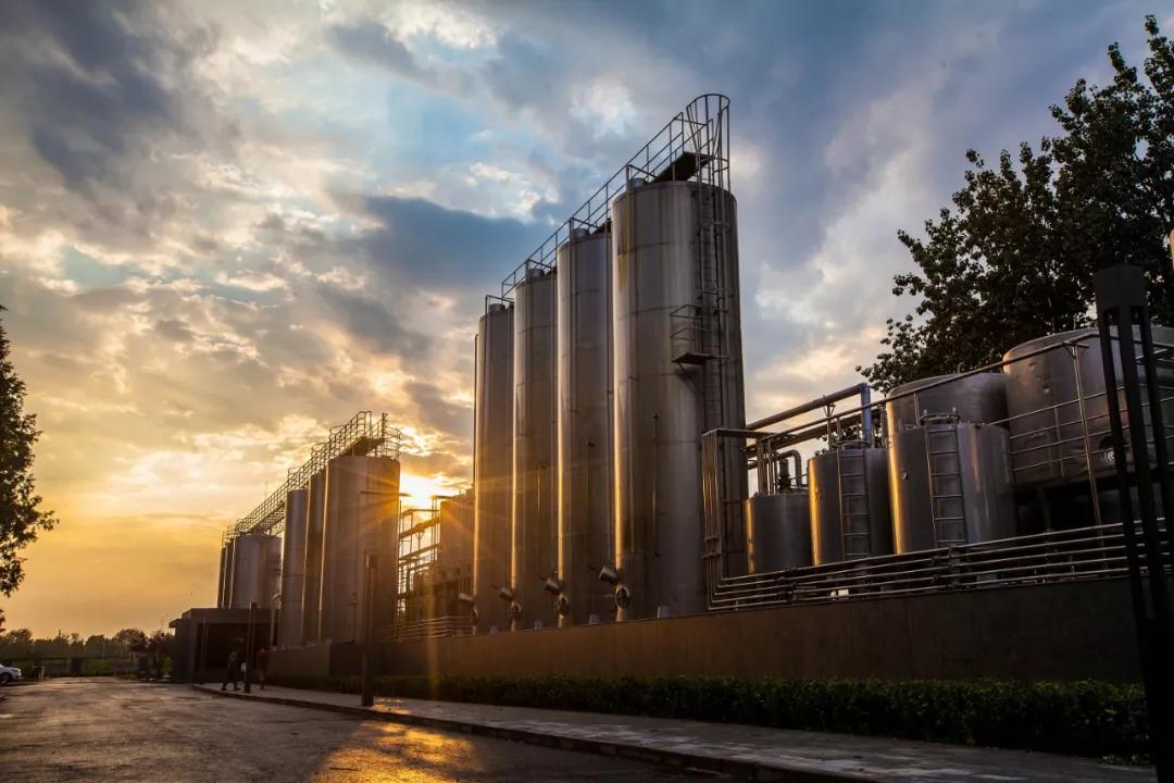 袋鼠达达北京旗舰店,袋鼠达达北京店