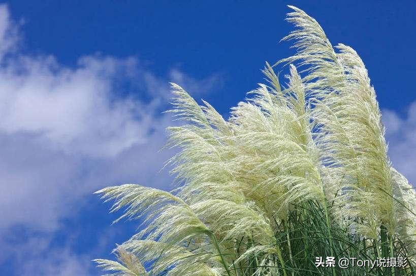 摄影拍摄蓝天白云的技巧,蓝天白云怎么拍唯美视频