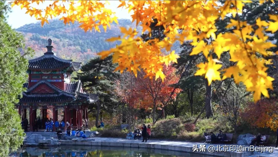 香山静宜园图片大全,香山静宜园二十八景