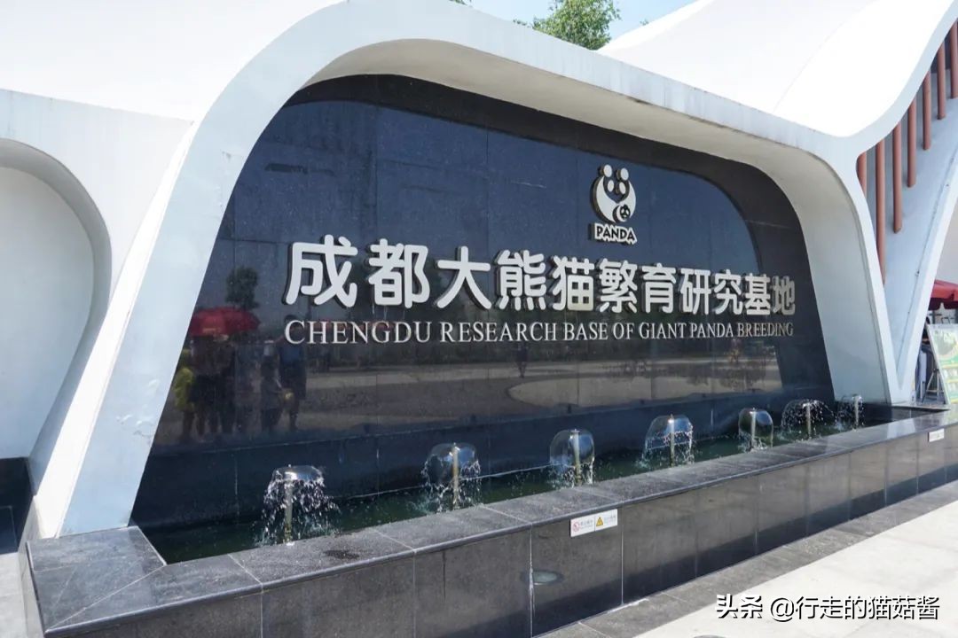 成都，为了吃值得专程来一趟，6处必打卡景点+当地人都爱的美食