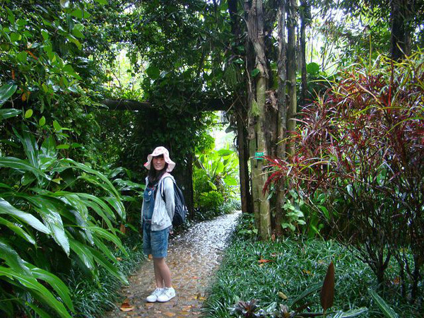 西安到三亚旅游攻略自由行费用,海南旅游攻略自由行三亚最佳路线