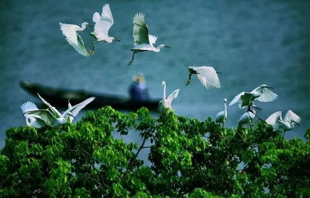 各地旅游形象口号大全,各景点旅游口号大全霸气十足