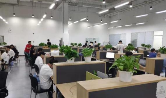 大鹏教育免费教画画可以回放吗,大鹏教育学画画多少钱