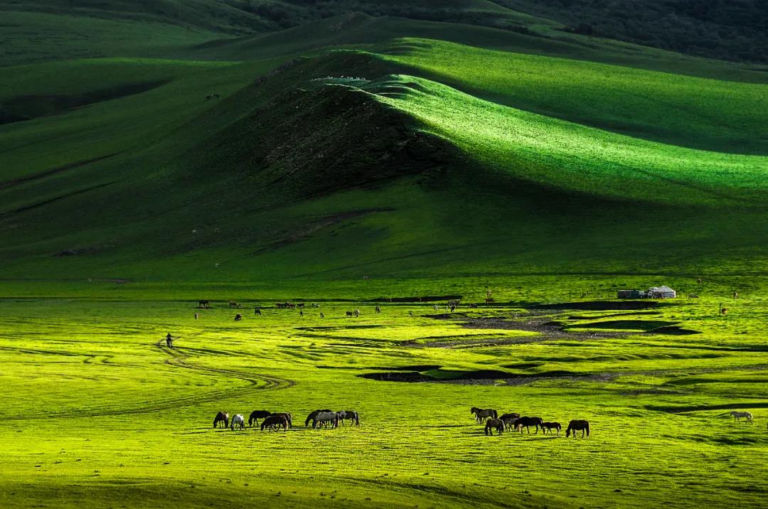 内蒙古赤峰属于东北吗,赤峰东北还是华北