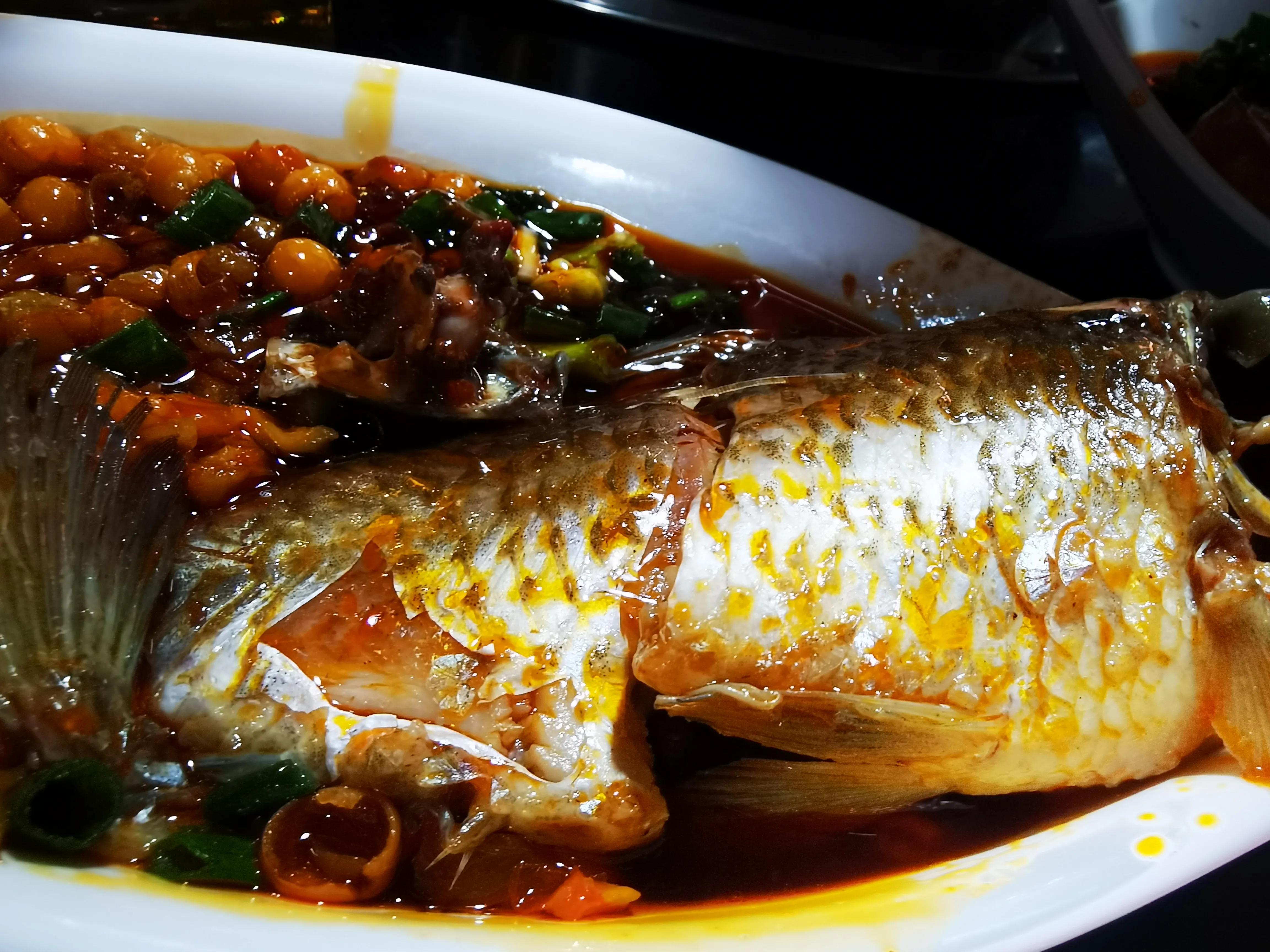 肖战热爱可抵岁月漫长采访,肖战为自己的热爱全力以赴