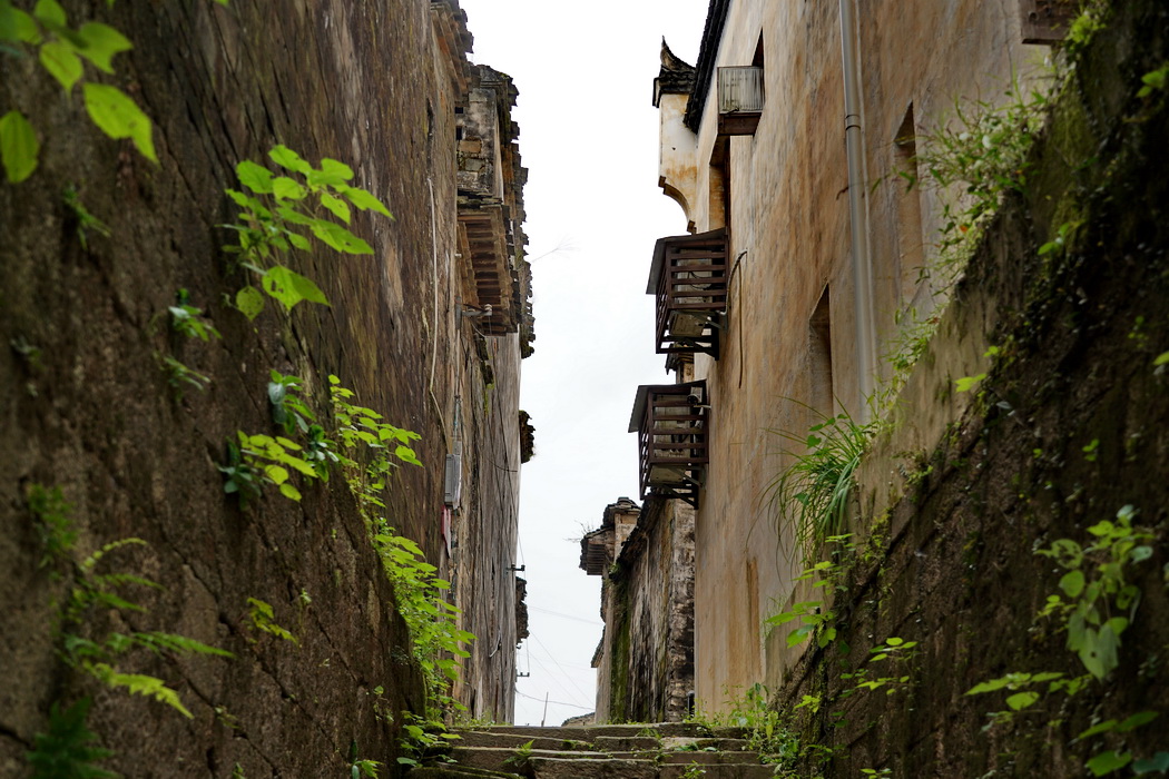 婺源看惯了大城市的繁华,婺源有个徽派建筑景区