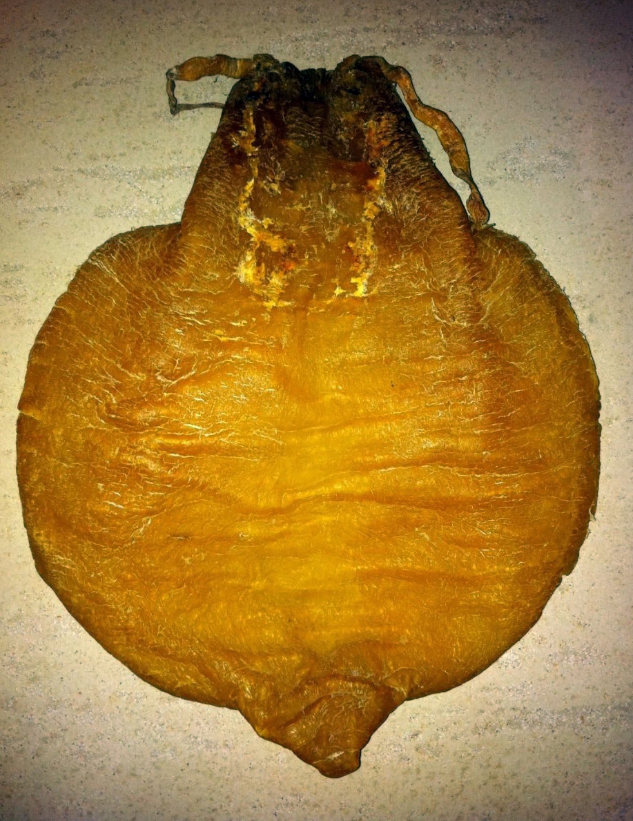 老花胶跟嫩花胶有什么区别,到底多少年的花胶才算老花胶