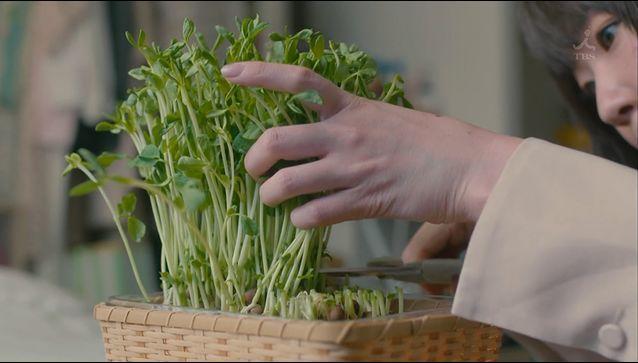 9.4分本季最佳，甩掉假装深情的渣男才解气