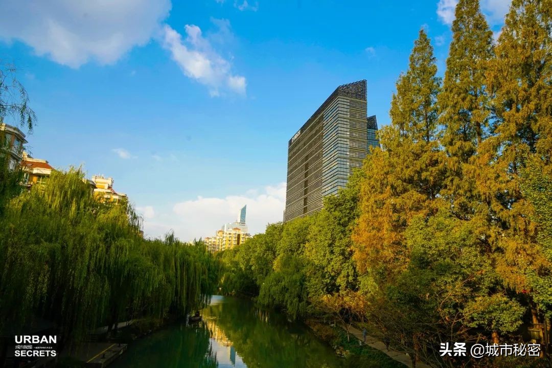 鏉窞瑗挎箹鍥涘ぇ瀹舵棌,鏉窞鍥涘ぇ鏈涙棌