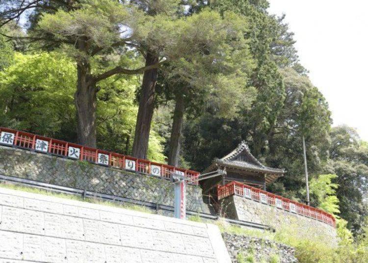 京都保津川,日本京都游船