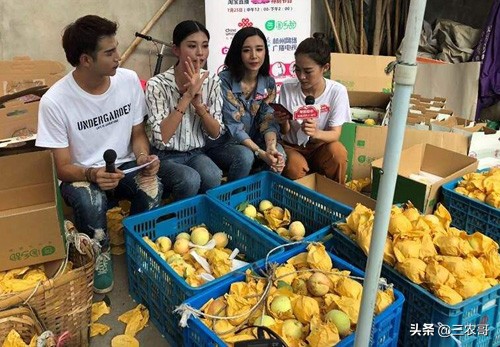 农村致富创业项目年轻人,农民打工回乡低成本创业项目推荐