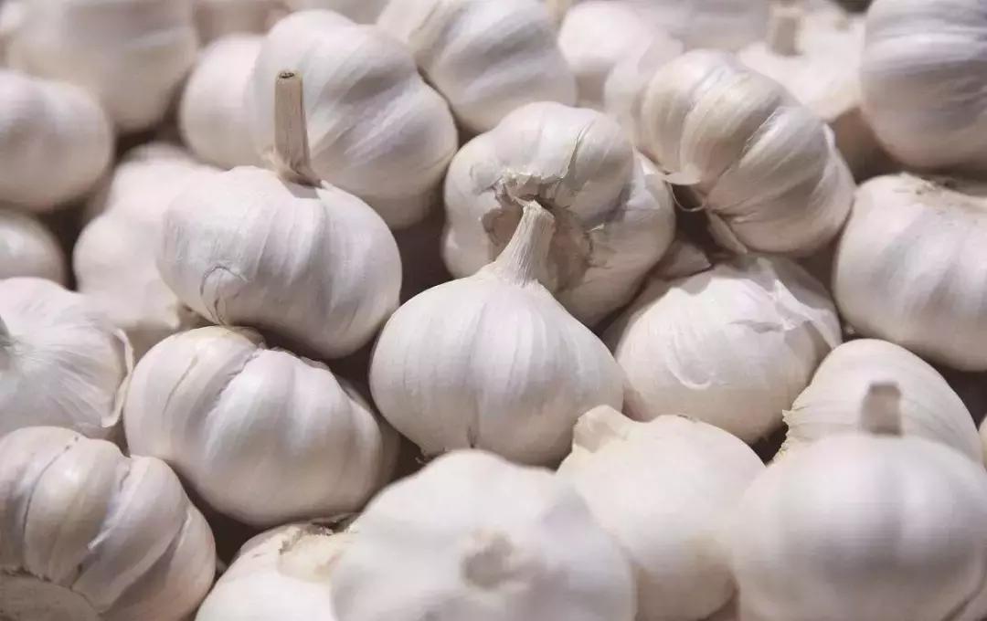 6种有很大味的蔬菜,闻着味道很大的蔬菜有哪些