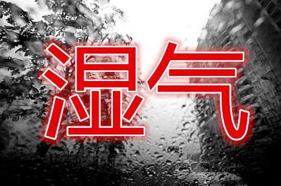 体内有湿气喝什么祛湿,体内湿气喝什么茶祛湿