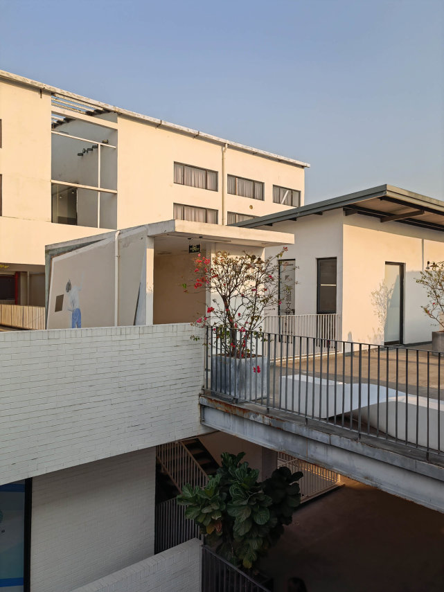 荣耀V40拍照体验：5000万像素大底果然不负众望