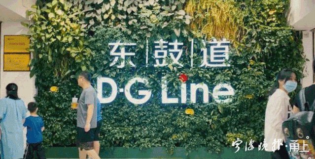 宁波地铁最新运营动态,宁波地铁运营里程