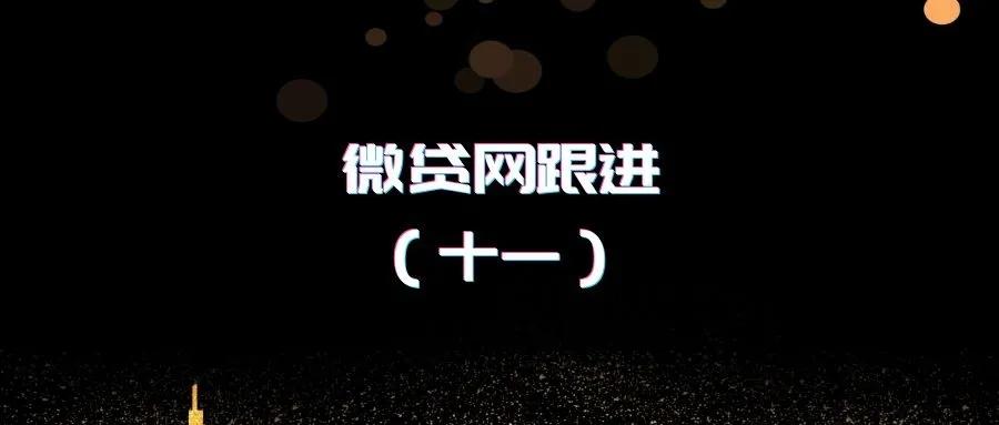微贷网本金拿不回来,微贷网被清退加速