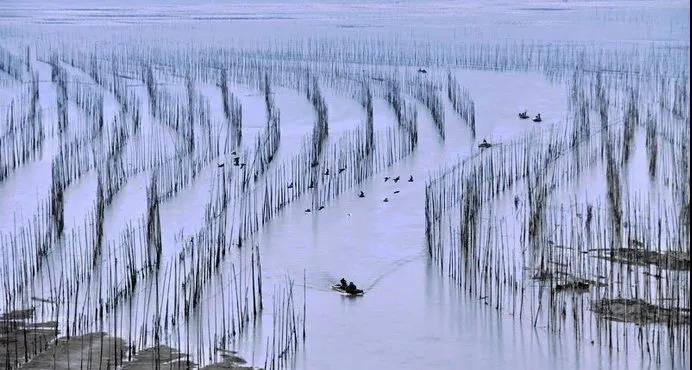 宁德闽东地区景区大全,宁德蕉城区景点排行榜最新