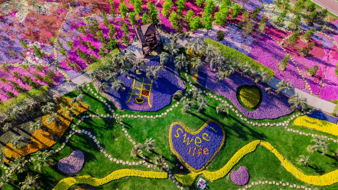 南通绿博园室内,南通绿博园风景