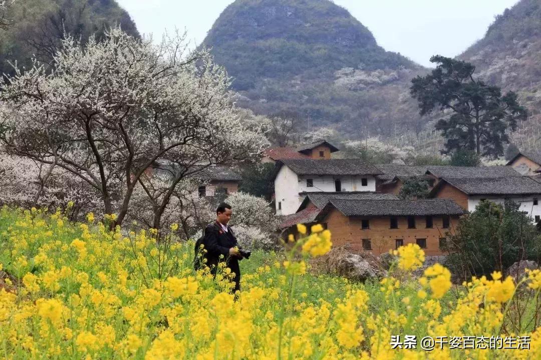 广西低调小城竟然藏了个小奈良,广西有座低调的养老小城