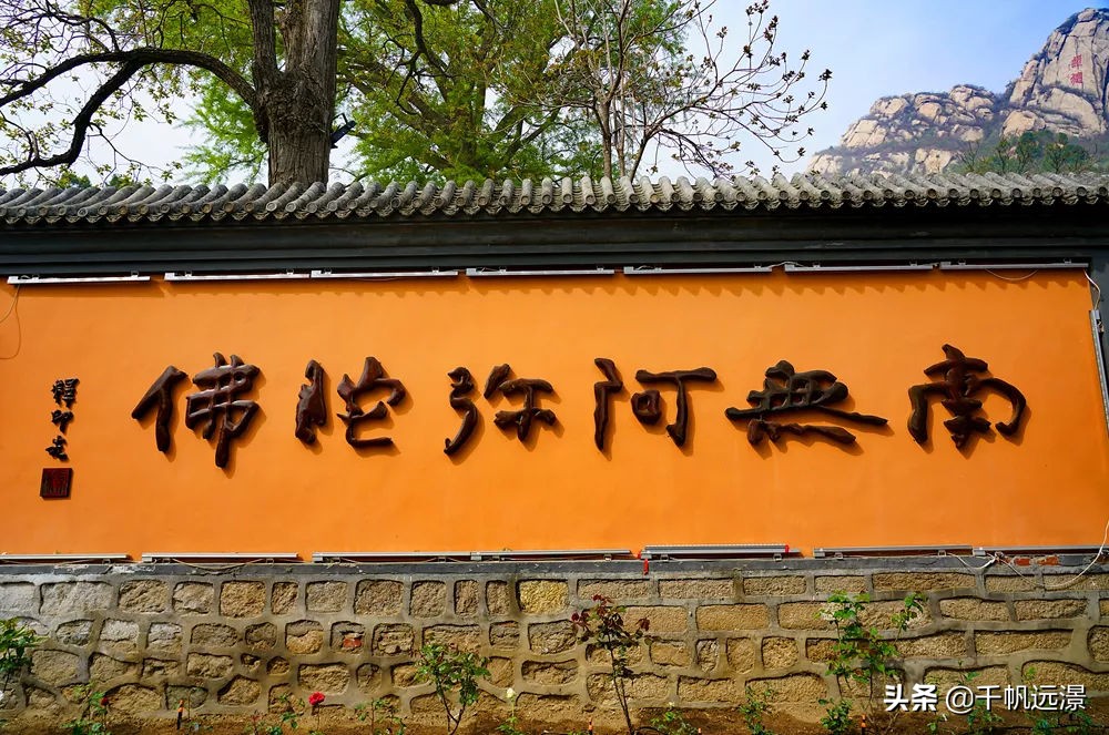 阳春四月春意盎然,阳春四月艳阳照