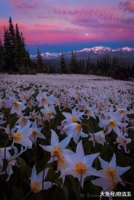 50张世界级照片赶快来看,壮观40张顶级照片