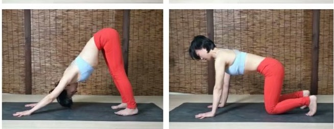 精准瑜伽60分钟排课体式串联,双人瑜伽体式串联排课加口令