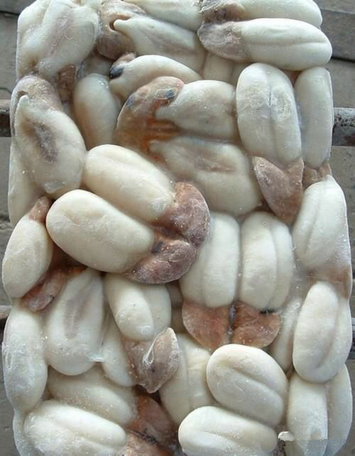 海鲜大全,最全海鲜冷知识