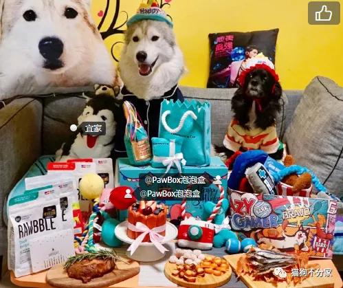 狗狗喜欢吃木头是怎么回事,狗狗喜欢吃纸壳要紧吗