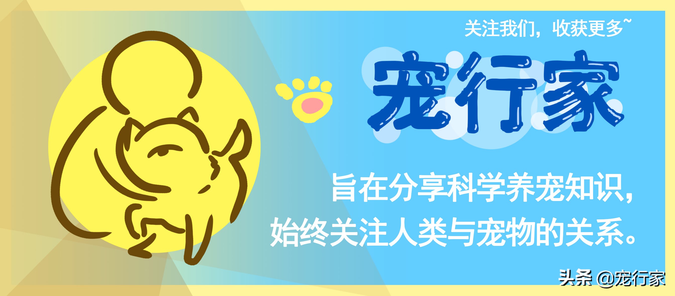 狗子爱喝水怎么办,狗子喜欢晒太阳是体内缺什么吗