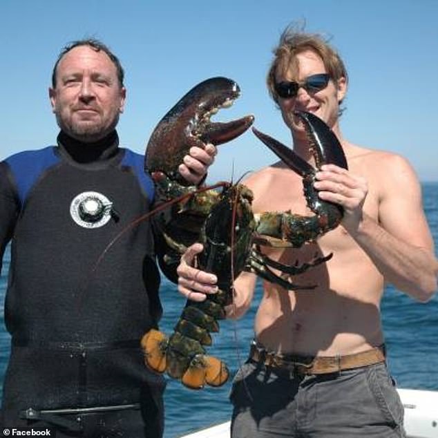 被蓝鲸吞进肚子里会发生什么,座头鲸误吞潜水员