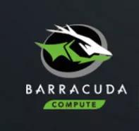 希捷nas硬盘好还是服务器硬盘好,希捷企业级硬盘和nas硬盘区别