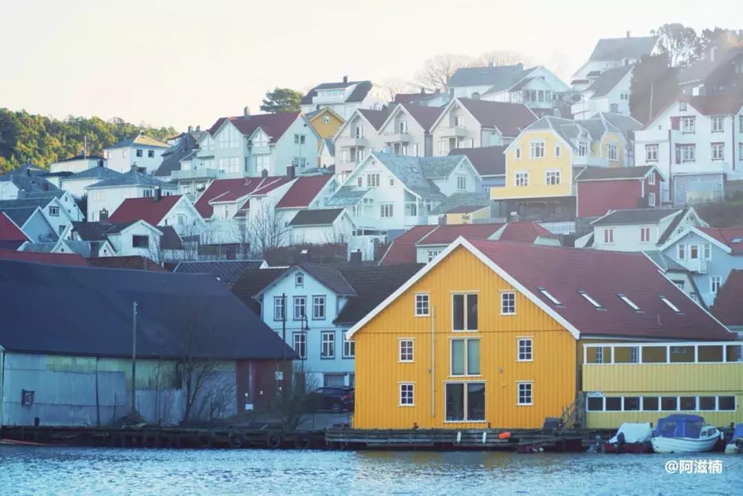 为了吃世界上最好吃的青花鱼，我飞去了挪威，光是捕捞船价值4亿
