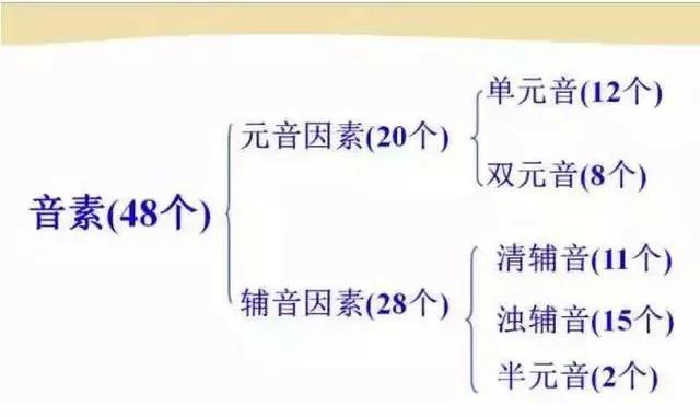 小妞老师音标发音48个教学视频,48个英语音标视频教学